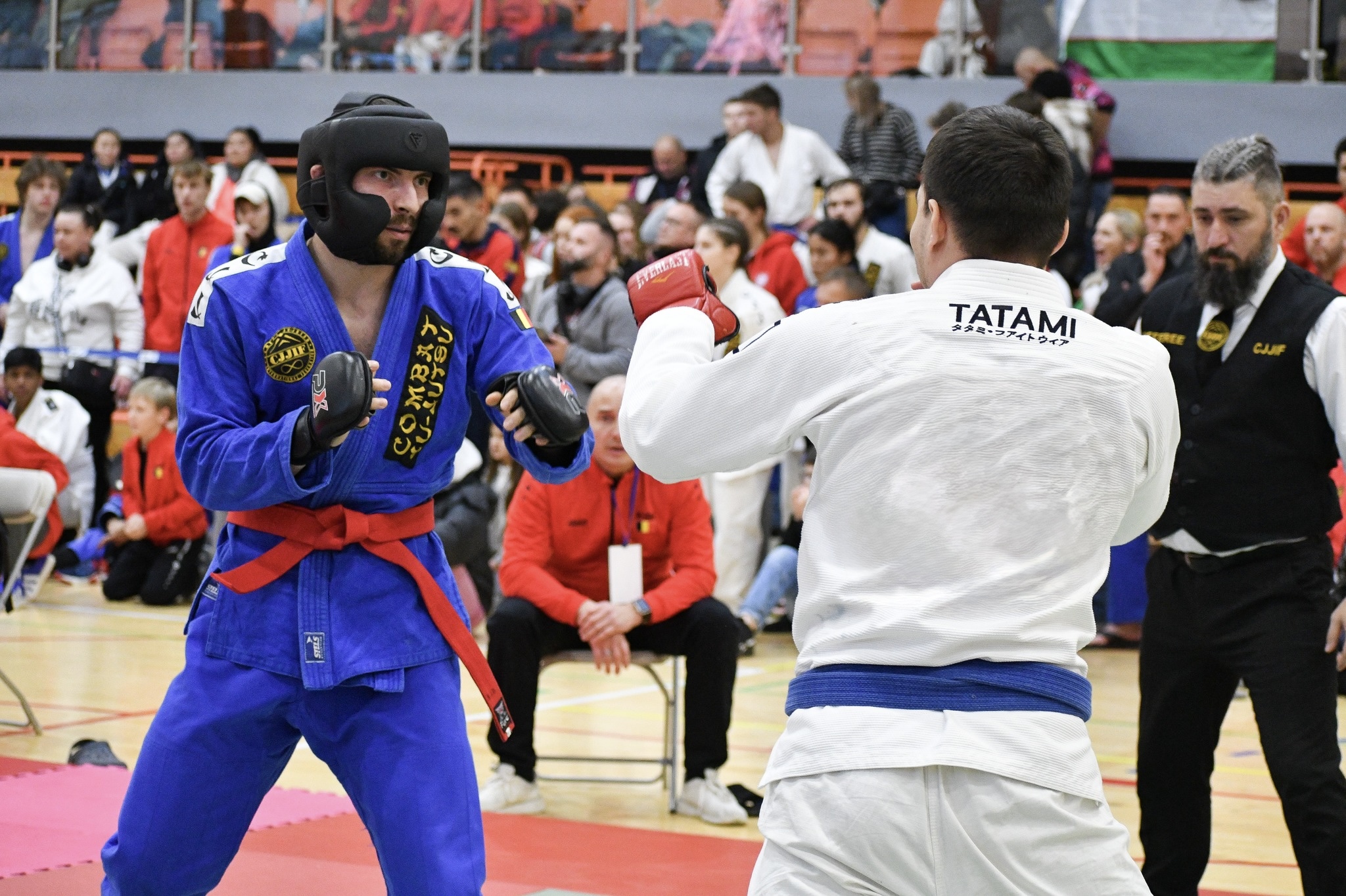 about combat ju jutsu